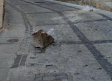 Cae sobre la calle un trozo de la cornisa de la Catedral de Toledo