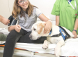 Los beneficios de la presencia de una mascota en hogares de niños trasplantados