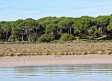 ¿Qué es el Espacio Natural de Doñana?