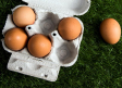 Inmovilizados en Vizcaya 22.000 huevos contaminados con fipronil