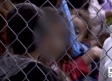 Más de 2.300 niños obligados a separarse de sus familias en Estados Unidos