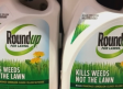 Glifosato: Monsanto pagará 289 millones a un jardinero por el cáncer que padece