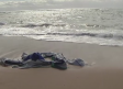 Buscan a los inmigrantes desaparecidos tras el naufragio de una patera en Cádiz
