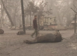 74 muertos y más de 1.000 desaparecidos en los incendios de California
