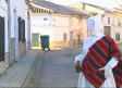 Vuelve el Blanco de El Ballestero, Albacete, y ya son 5 siglos