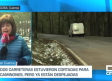 Árboles caídos por el viento y nieve: la huella de la borrasca en Castilla-La Mancha