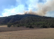 Dos incendios forestales en Guadalajara: uno, en Loranca de Tajuña y otro en Valdeavellano, que sigue en nivel 1