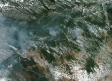 UCLM alerta de las pérdidas "irreparables", también en avances científicos, por los incendios del Amazonas