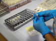 Coronavirus en España: Los fallecidos suben hasta los 244 en 24 horas, pero bajan los positivos
