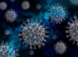 El CSIC recopila en un informe todo lo que se sabe del coronavirus