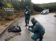 Hallan un cementerio ilegal de animales, con restos de 20 perros, en El Casar (Guadalajara)