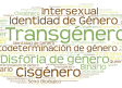 Diccionario para comprender la Ley Trans: autodeterminación de género, transexualidad, disforia...