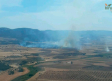 El incendio en el paraje del Villar de Puertollano (Ciudad Real), controlado