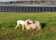 Solaria proyecta en Cifuentes el mayor parque fotovoltaico de Europa