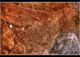 Una lasca de cuarzo adelanta la ocupación en Atapuerca a 1,4 millones de años