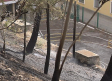 Se investigan las causas del incendio en el rodadero del Parque de la Vega (Toledo)