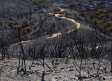 Incendio de Málaga: así es la evolución del fuego en Sierra Bermeja