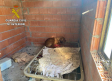 Localizan a 15 perros en deficientes condiciones sanitarias en Poveda de la Sierra (Guadalajara)