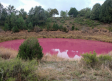 La laguna de Cañada del Hoyo (Cuenca) se tiñe de rosa