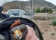 Agentes Medioambientales de Castilla-La Mancha rescatan un águila de Harris en Tobarra (Albacete)