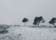 Albacete en aviso amarillo por acumulaciones de nieve en la Sierra del Segura y Alcaraz