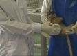 ¿Qué es la viruela del mono? Activada la alerta sanitaria tras detectar ocho casos en Madrid