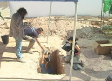 Se presentan siete proyectos de investigación y exhumación de varias fosas en Castilla-La Mancha