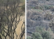 En Montesión (Toledo) han sufrido 2 incendios en 3 años, pero ¿cómo queda el terreno tras el paso de las llamas?