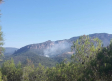 Extinguido el incendio forestal en Yeste