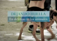 Dejando huella: en defensa de los animales