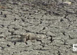 Termina un año hidrológico seco en Castilla-La Mancha con hasta un 25% menos de precipitaciones