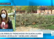 Más de 60 incidencias por viento en CLM, con una mujer herida en Almadén