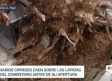 Los fuertes vientos de la borrasca Hortense provocan incidencias en Castilla-La Mancha: las últimas noticias, al minuto