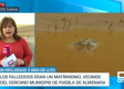 Dos fallecidos tras una gran riada en Saelices (Cuenca)