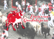 CMM retransmite los encierros de la Feria de Guadalajara y los festejos más destacados de la región