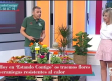 Equinácea, rudbeckia, stokesia y zinnia: flores bonitas y resistentes al calor