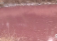 La laguna rosa