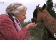 Conocemos a Casilda, la mascota inseparable de Vicenta