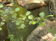 Un paseo por una de las joyas naturales