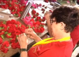 Un aluvión de flores para decorar las calles de Toledo