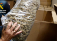Detienen por segunda vez a un empresario al que incautaron 32 toneladas de marihuana en Villacañas