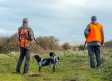 Los perros de caza se quedan fuera de la ley de bienestar animal