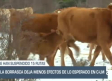 Noticias del día en Castilla-La Mancha: 19 de enero