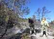 Extinguido el incendio forestal en Hellín que ha afectado a una zona de pinares