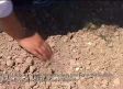 La sequía sigue causando estragos en nuestras tierras