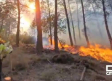 80 efectivos de Castilla-La Mancha trabajan en la extinción del incendio en las Hurdes y la Sierra de Gata