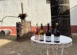El origen del 'Sandevid', CFGS en Vitivinicultura y nuevas bodegas os esperan en una nueva ruta de la cultura del vino