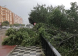 Cuenca recupera la normalidad tras la tormenta que ha dejado una veintena de incidencias