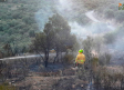 Este es el riesgo de incendios forestales en los municipios de Castilla-La Mancha