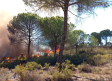 Estabilizados los incendios de Portbou (Girona) y Bonares (Huelva)